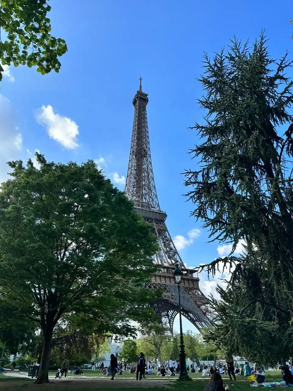 Изображение карточки