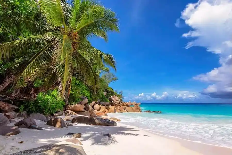 Изображение карточки