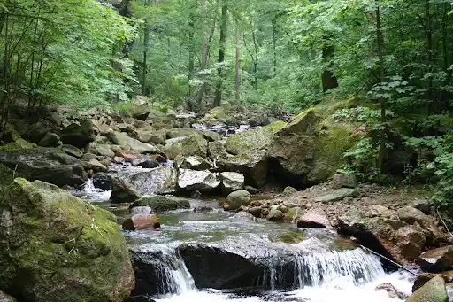 /media/image_of_places/harz_national_park.webp